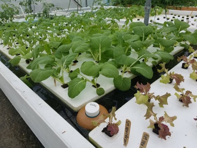 1-fnqt8efje-tdymiueabvmw