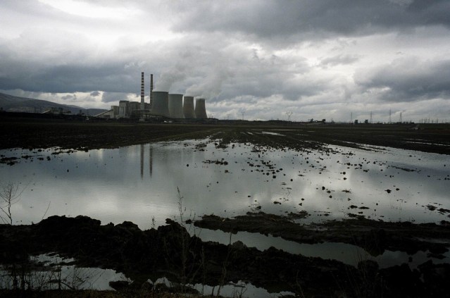 Surviving global warming 1