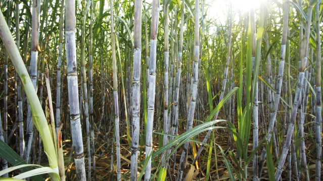 f5f52cf307df6040b1d1869e79a710b2