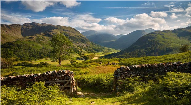 Green and pleasant - dave massey