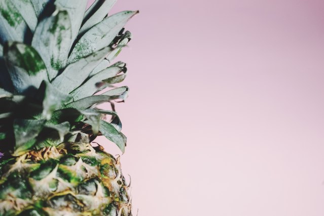 pineapple-supply-co-66781-unsplash