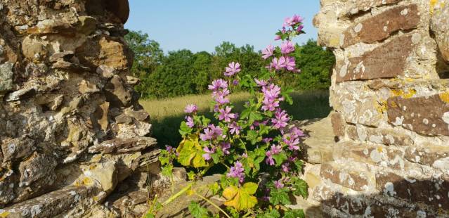 WhatsApp Image 2019-06-30 at 16.09.01