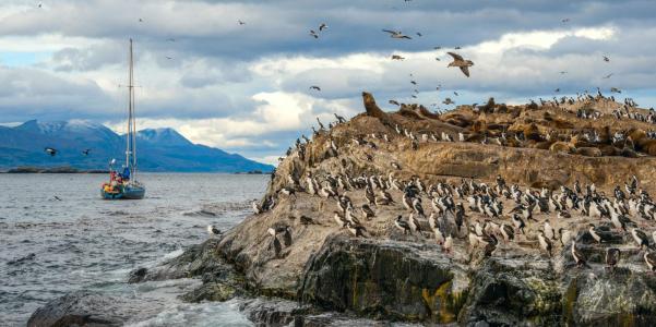 Chile COP to focus on ocean despite relocation to Madrid