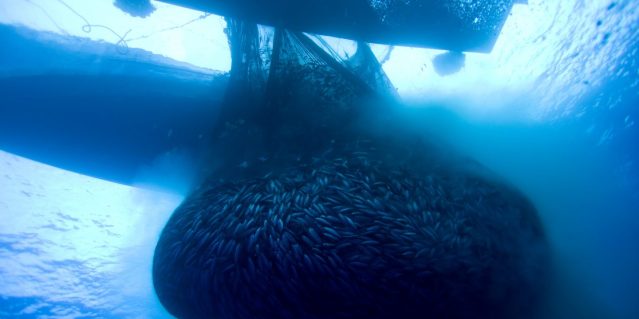 GP04BTO_High_res-1440x720