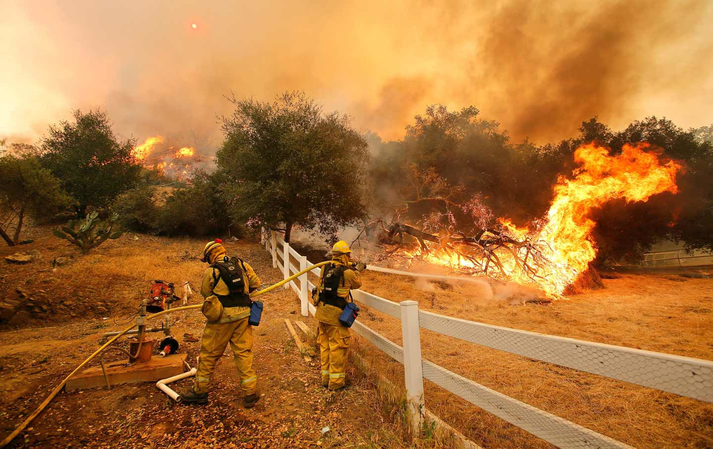 Firefighters from Stockton, California fight a Southern California wildfire.