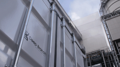 deep-branch-container