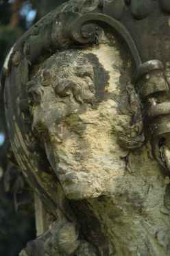 file-20200715-37-1s7y6p6