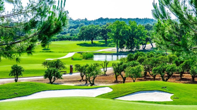 Winter offer Laranjal