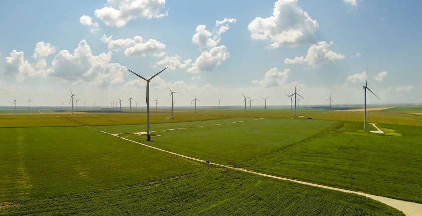 A Romanian wind farm pictured.