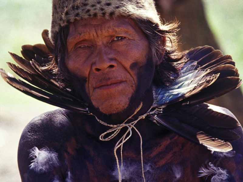 Big banks linked to deforestation that threatens Indigenous people