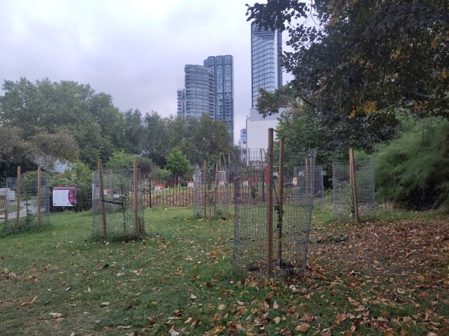 The orchard at Islington's Graham St park, pictured in 2024.