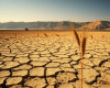 AI-generated visualisation of Iraq's drought.