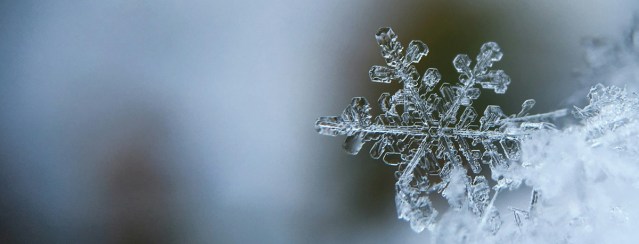 Sverker Sörlin’s book, Snö: A History.