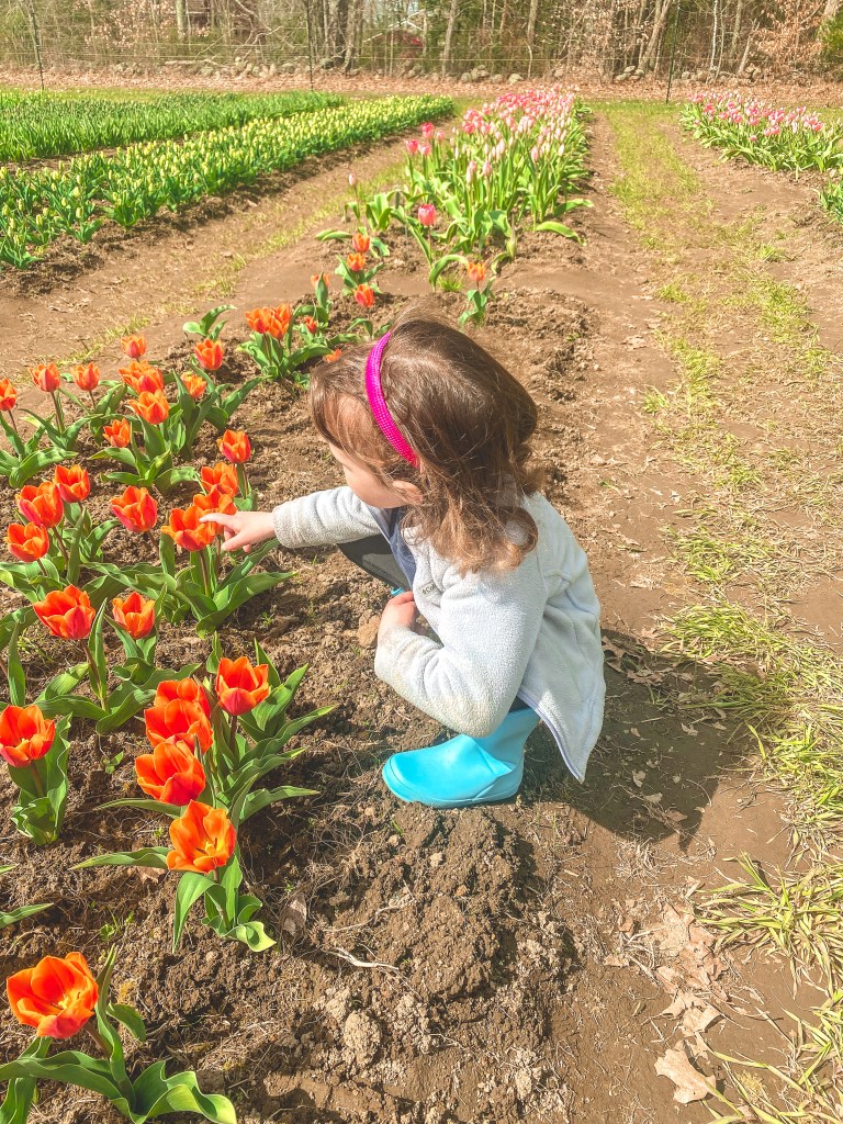 Bridget's daughter observes emerging flowers.