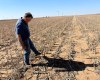Chief economists see dramatic increases in the cost of food on the horizon due to Strait of Hormuz-related supply shock.