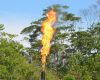 A gas flare near Ecuador’s Yasuni national park.